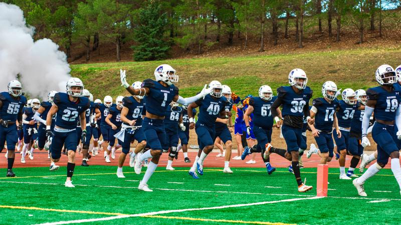 Football players on the field