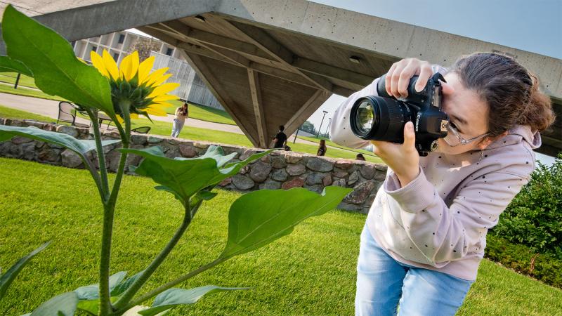 Students taking a photo of a sunflower.