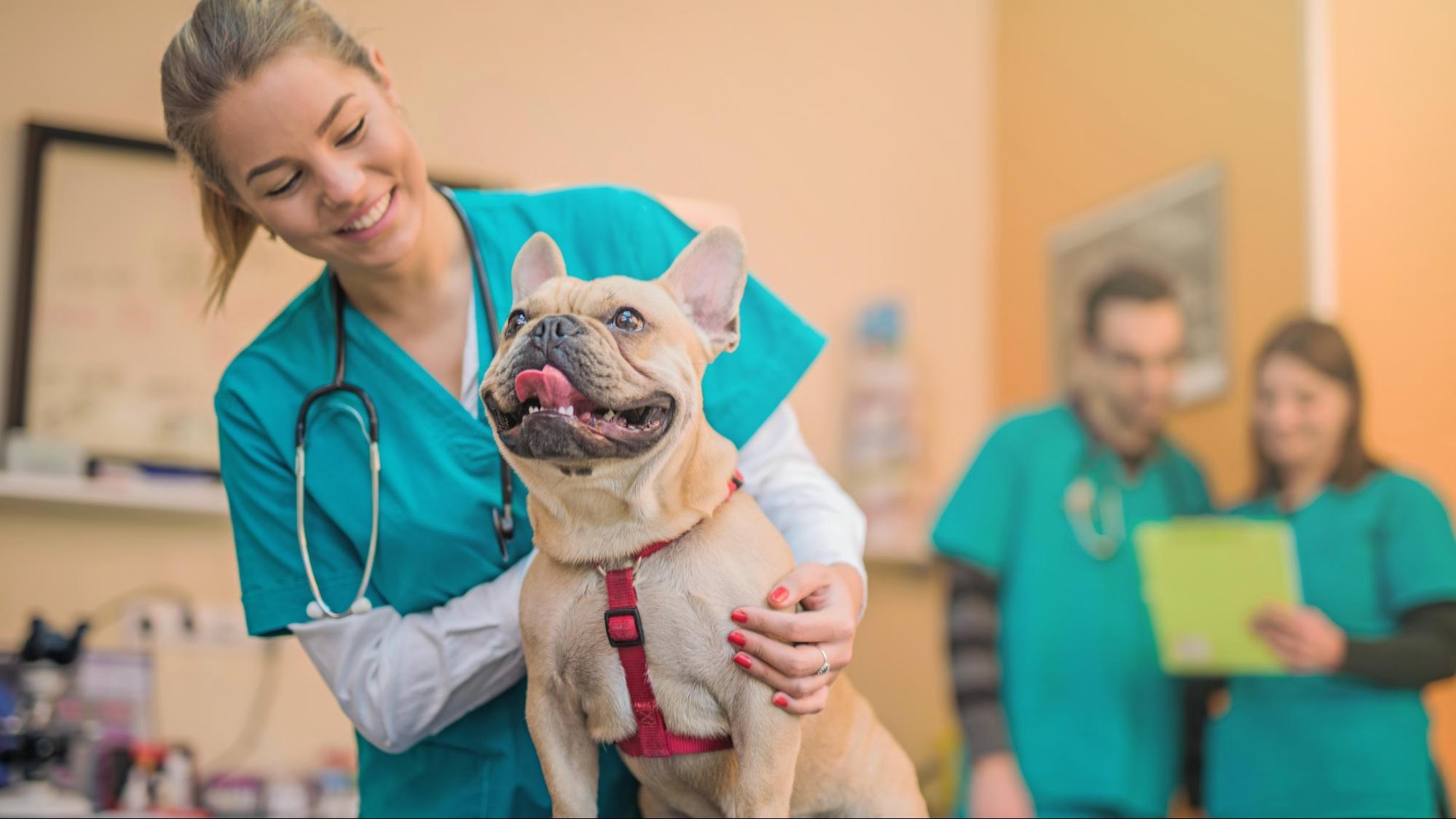 Pre-Veterinary Medicine Concentration | University Of Mary In Bismarck, ND