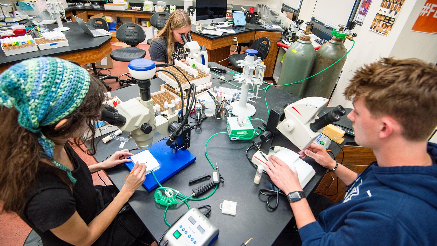 students working on a SURVE project in the labs