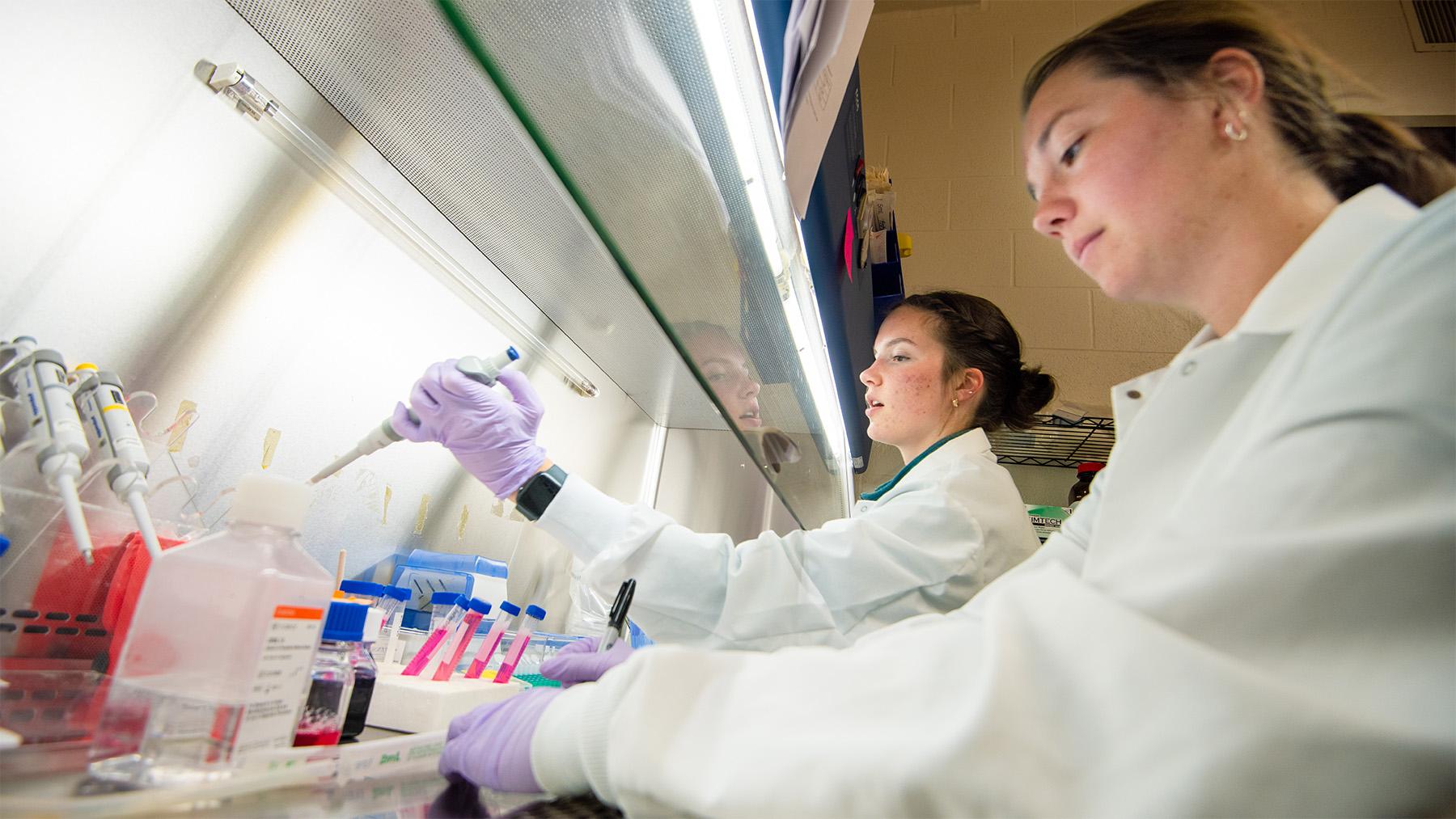 Students testing vials in labs the during a SURVE project. 