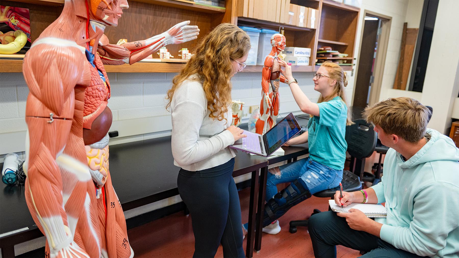 Students working in the biology lab